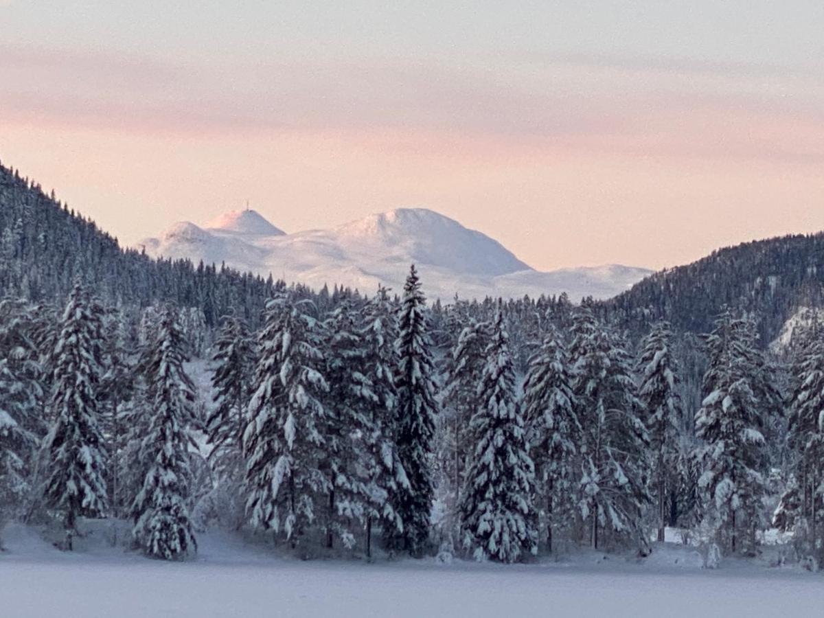 Tuddal Hyttegrend, Gamlestugu, Telemark Kültér fotó